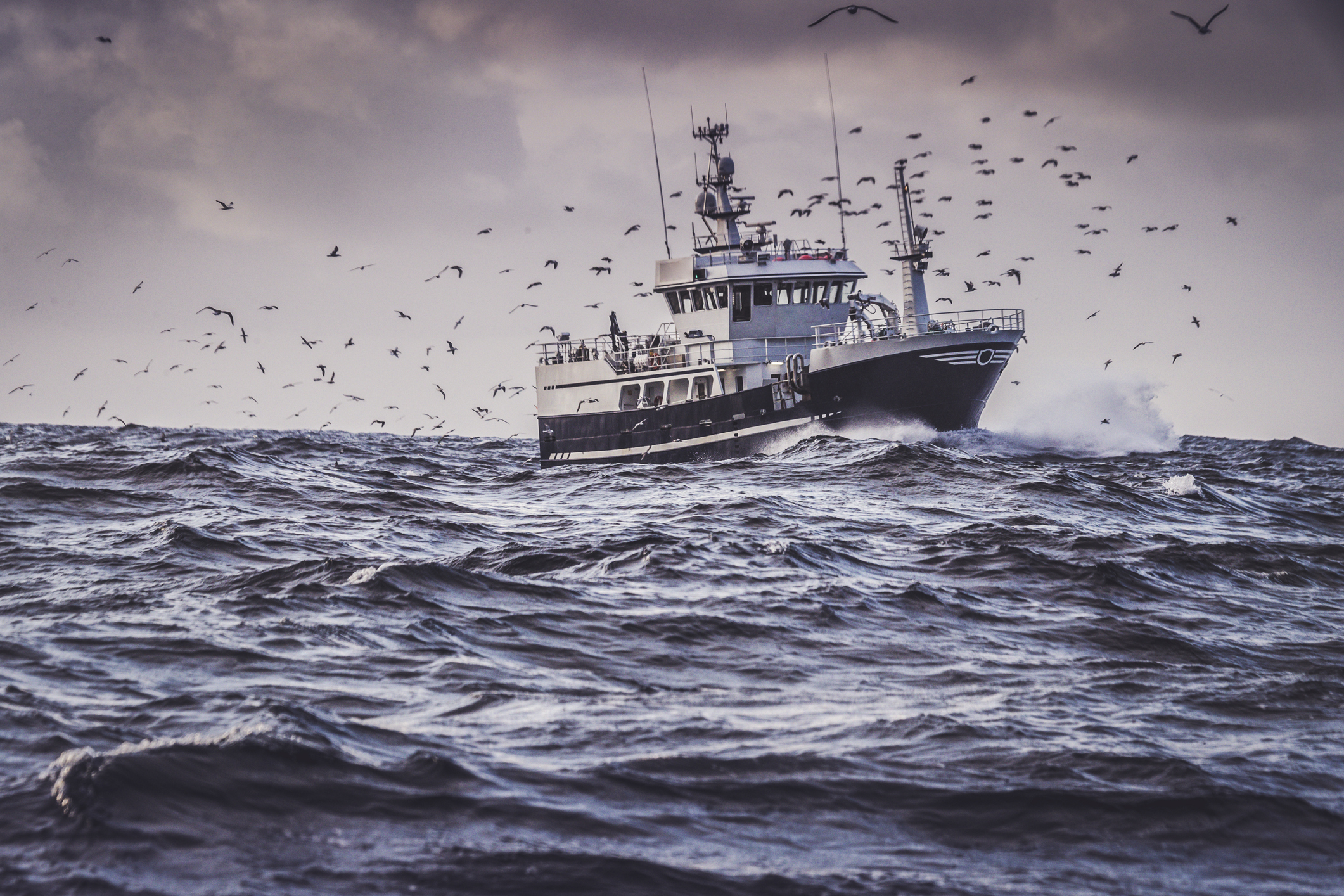 Norges historie med fisk