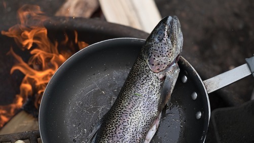 Fisk Som Passer Utmerket Til Pasta