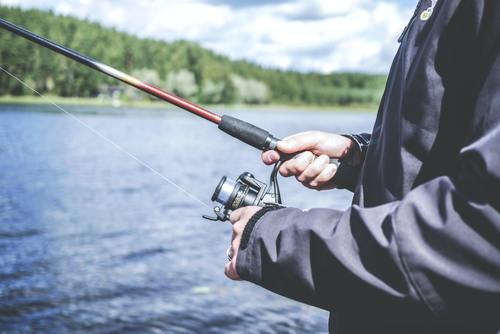 Kan man tjene penger på fisk?