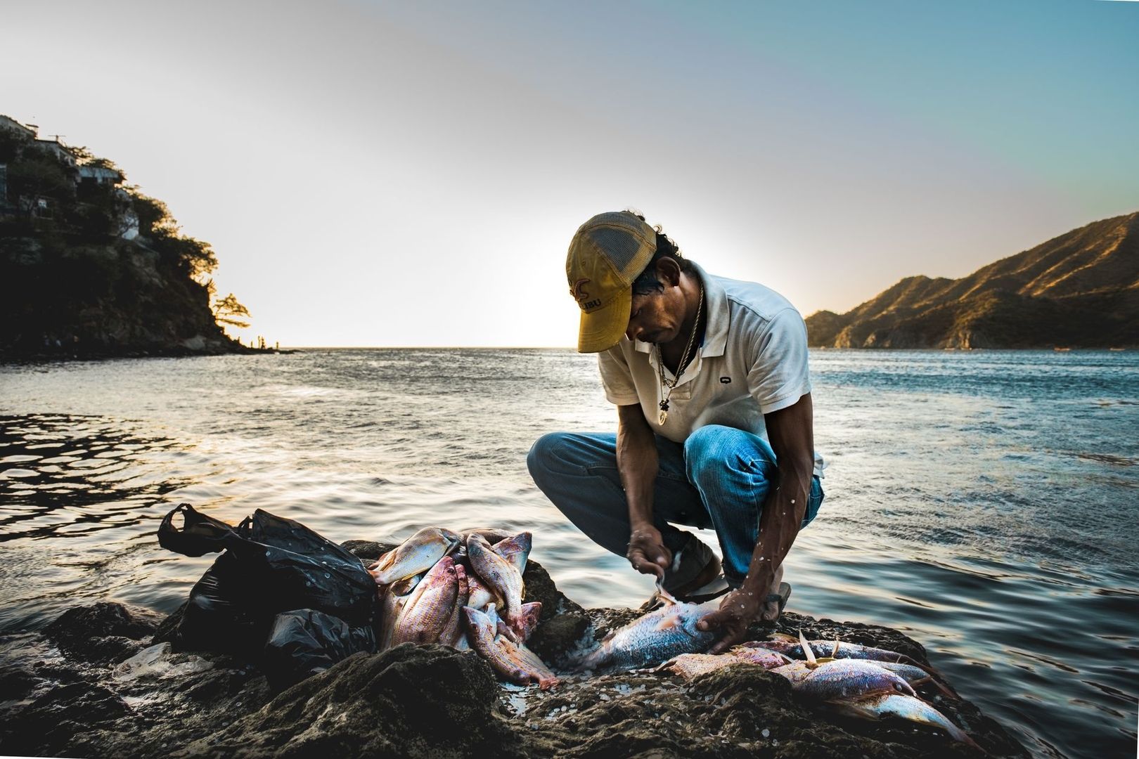 Fra fjord til filet: Kunsten å bløgge og kjøle fisken for perfekt smak