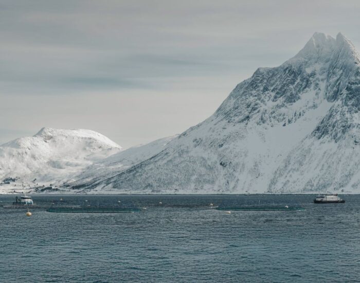 Slik leser du tidevannsstrømmer og grunntosser i nordnorske fjorder