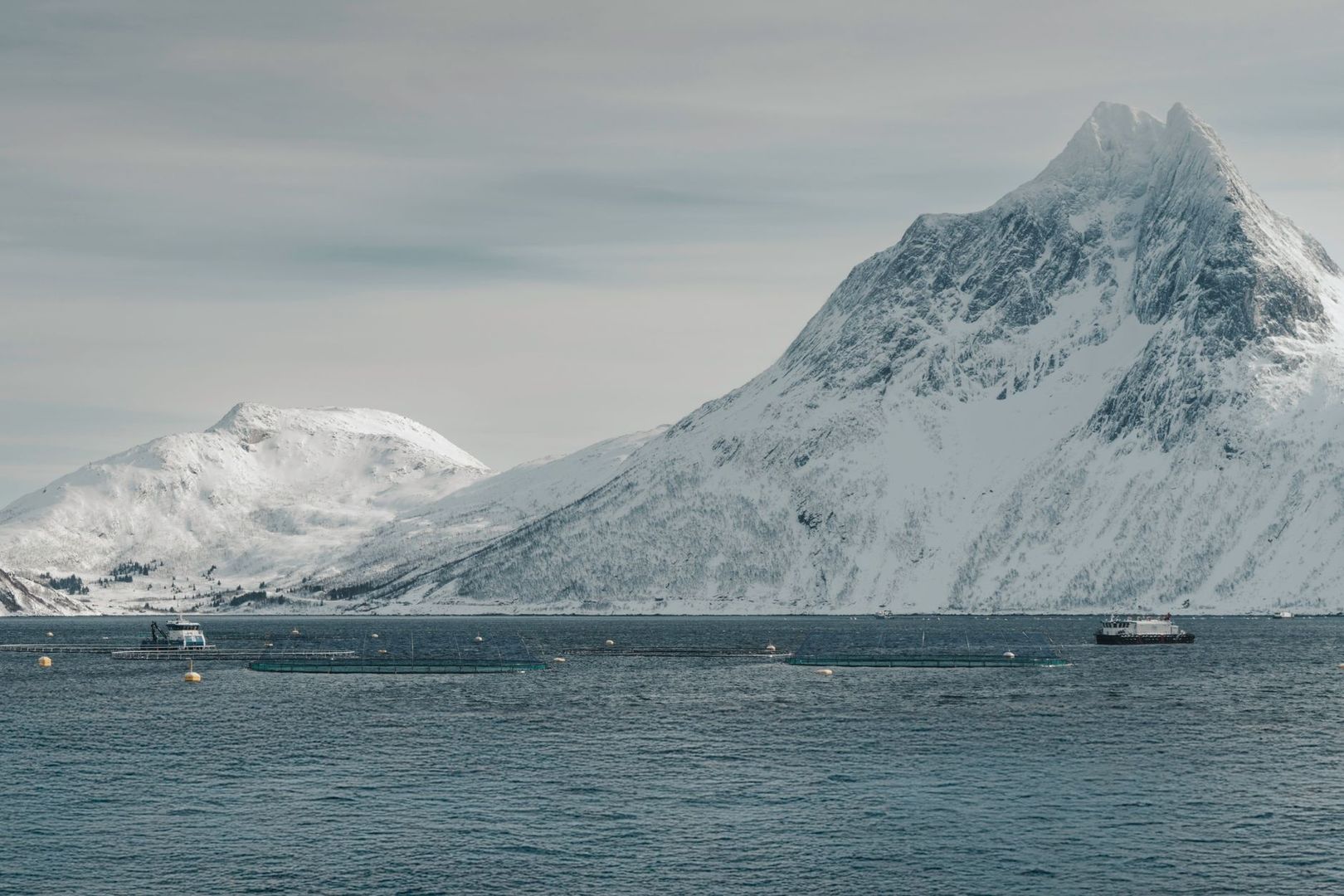 Slik leser du tidevannsstrømmer og grunntosser i nordnorske fjorder