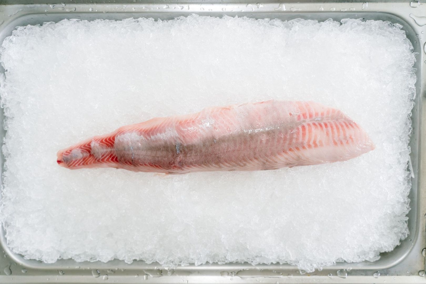 Rått fiskefiletstykke ligger nedkjølt på et lag med knust is